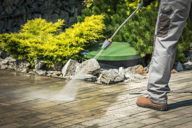 Best Driveway Pressure Washing  in Hill N Dale, FL