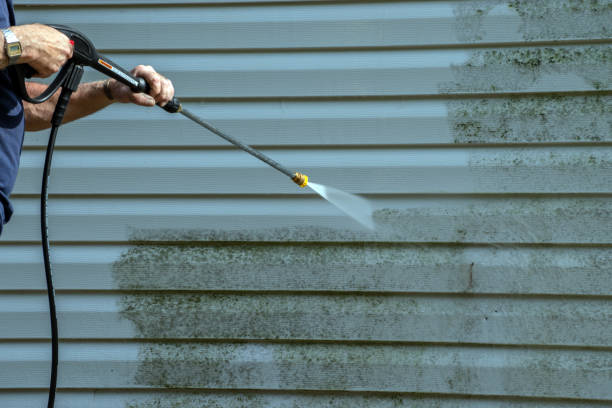 Best House Exterior Washing  in Hill N Dale, FL