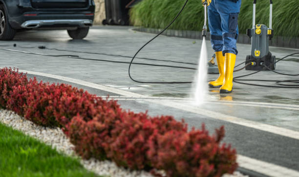 Best Roof Washing  in Hill N Dale, FL